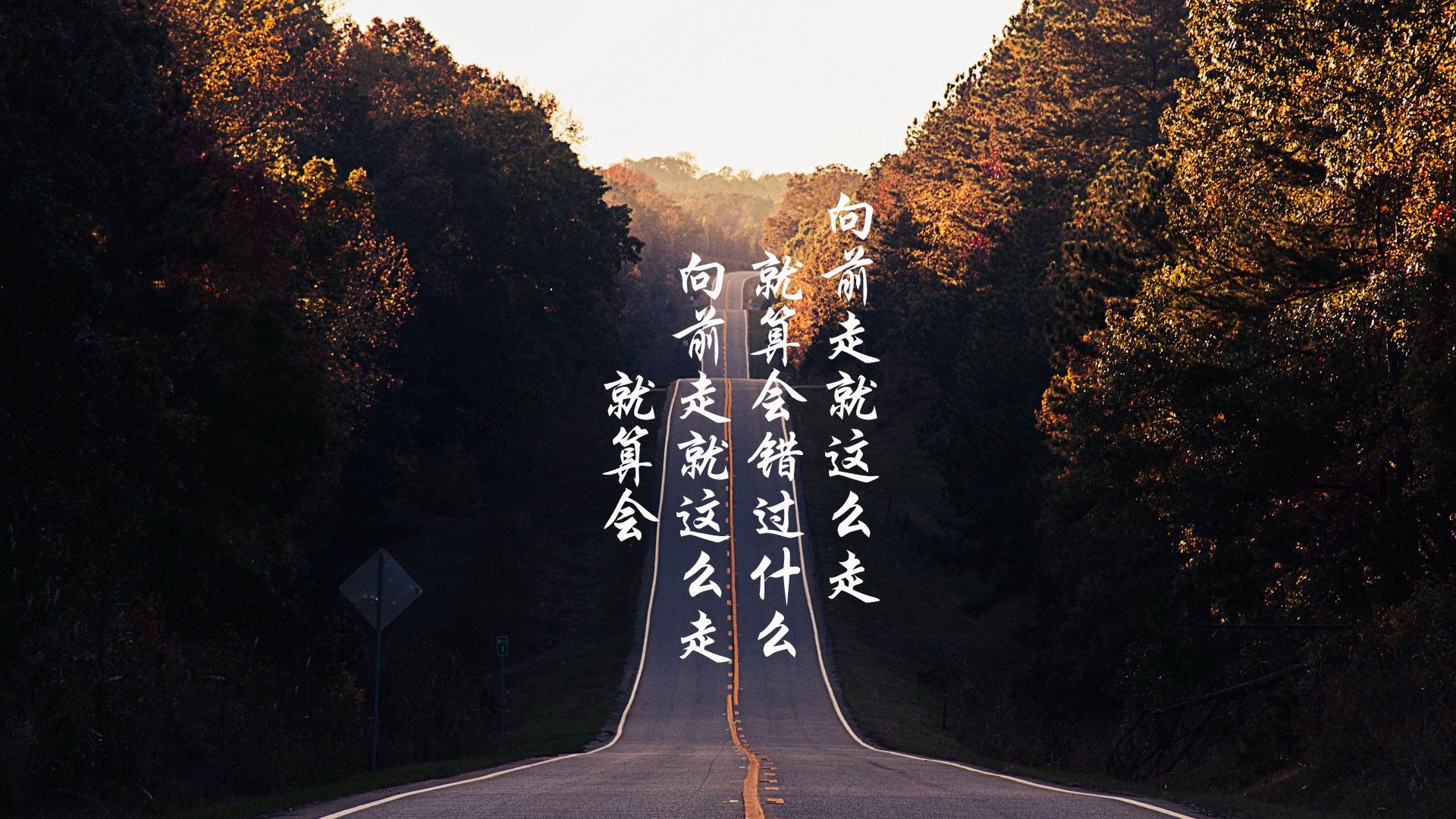 世界帆船赛事海况预测服务商评估报告,帆船比赛世界排名